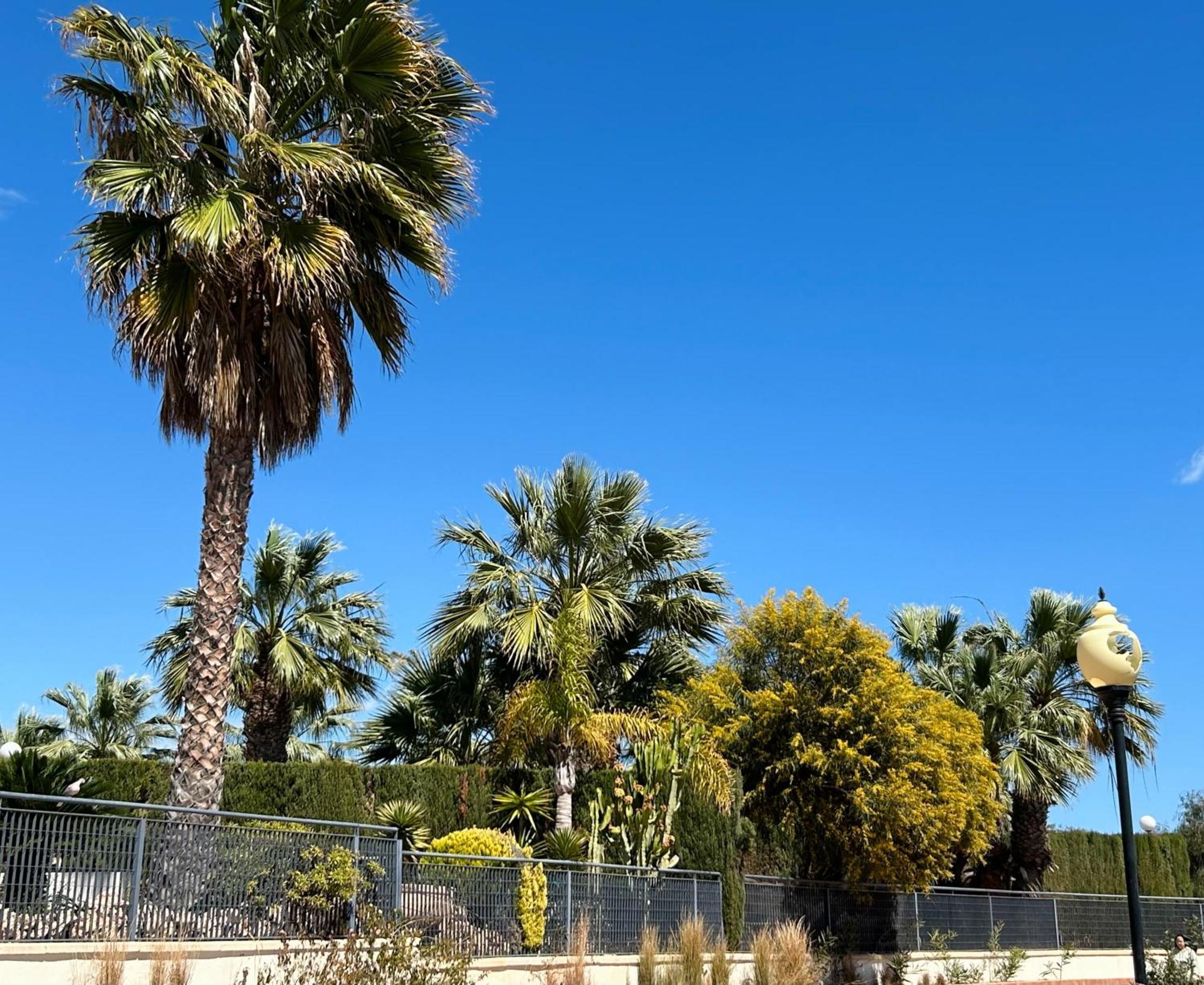 Apartamento Hermosa Glea Campoamor Exterior foto